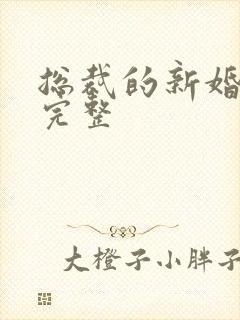 总裁的新婚罪妻完整封面