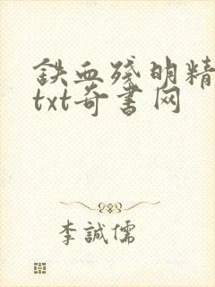 铁血残明精校版txt奇书网封面