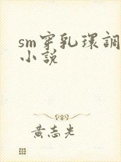 sm穿乳环调教小说