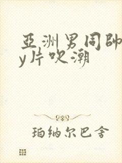 亚洲男同帅gay片吹潮