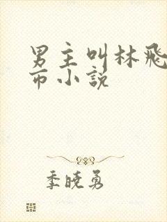 男主叫林飞的都市小说封面