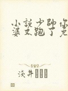 小说少帅你的老婆又跑了免费阅读