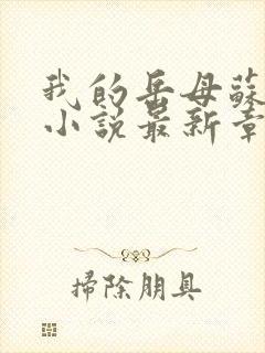 我的岳母苏沛真小说最新章节