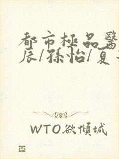 都市极品医神叶辰/孙怡/夏若雪