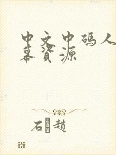 中文中码人妻字幕资源