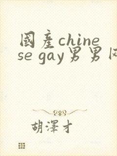 国产chinese gay男男网站