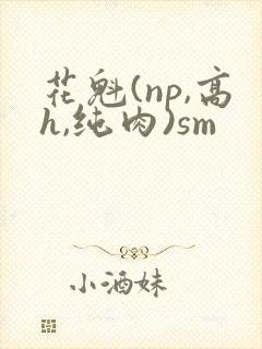 花魁(np,高h,纯肉)sm