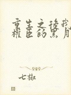 重生之后我成了权臣的黑月光小说