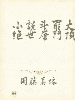 小说斗罗大陆2绝世唐门顶点