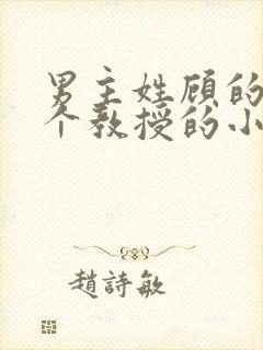 男主姓顾的是一个教授的小说