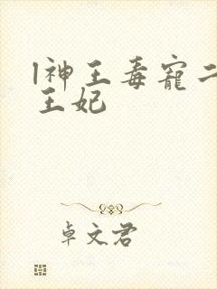 l神王毒宠二嫁王妃