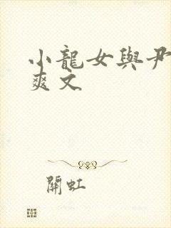 小龙女与尹志平爽文封面