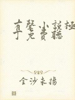 有声小说极品家丁免费听