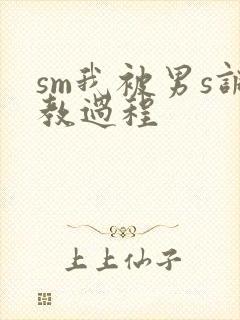 sm我被男s调教过程