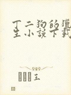 丁二狗的猎艳人生小说下载封面