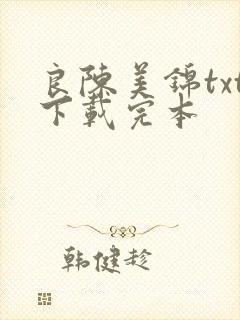 良陈美锦txt下载完本