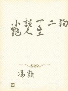 小说丁二狗的猎艳人生