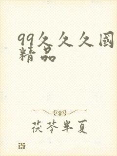 99久久久国产精品