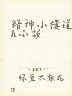 精神小楼道调教h小说