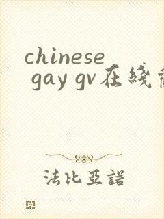 chinese gay gv在线观看
