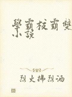 学霸校霸双男主小说封面