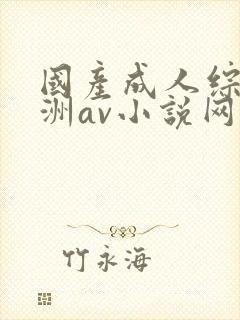 国产成人综合亚洲av小说网站