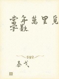 当年万里觅封侯字数