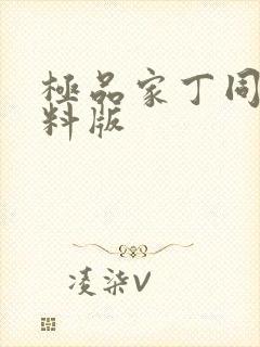 极品家丁同人加料版封面