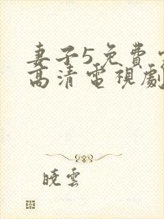 妻子5免费完整高清电视剧在线