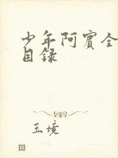 少年阿宾全章节目录