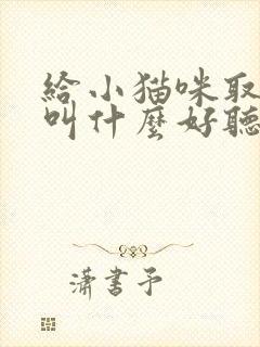 给小猫咪取名字叫什么好听