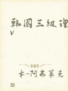 韩国三级理论av