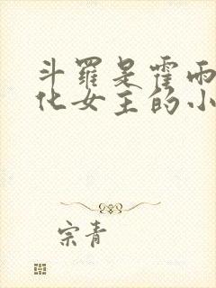 斗罗是霍雨浩娘化女主的小说