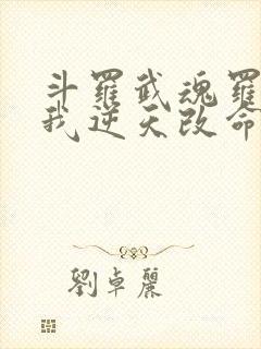 斗罗武魂罗三炮我逆天改命笔趣阁