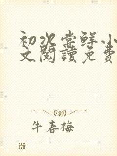 初次尝鲜小说全文阅读免费