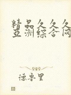 精品久久久久久亚洲综合网站