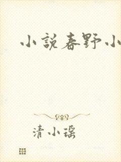 小说春野小农民