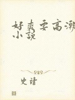 好爽要高潮了h小说