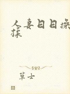 人妻日日操夜夜揉