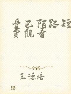 爱已陌路短剧免费观看封面