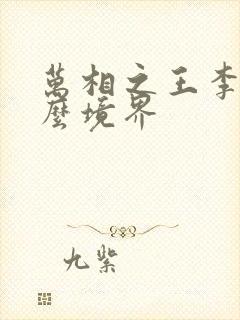 万相之王李洛什么境界