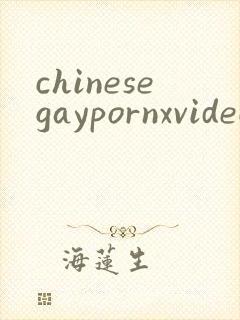 chinesegaypornxvideos