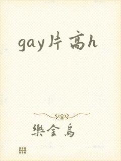 gay片高h封面