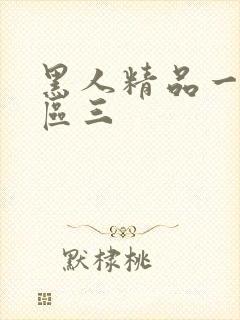 黑人精品一区二区三