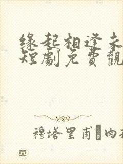 缘起相逢未识时短剧免费观看全集