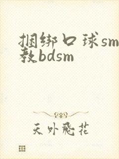 捆绑口球sm调教bdsm封面