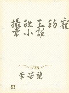 摄政王的宠妻日常小说