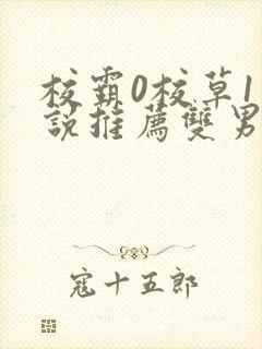 校霸0校草1小说推荐双男主文