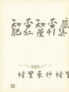 知否知否应是绿肥红瘦41集封面