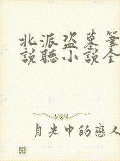 北派盗墓笔记小说听小说全集